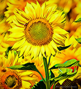 Aluminum Photo Panel - Sunflower Portrait - FLO-001