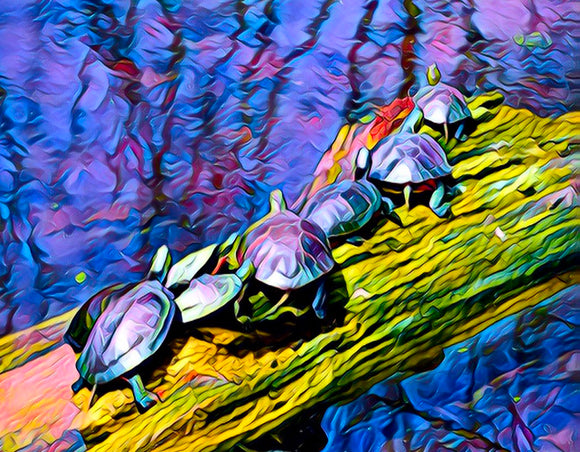 Aluminum Photo Panel - Turtles on a Log - WIL-007