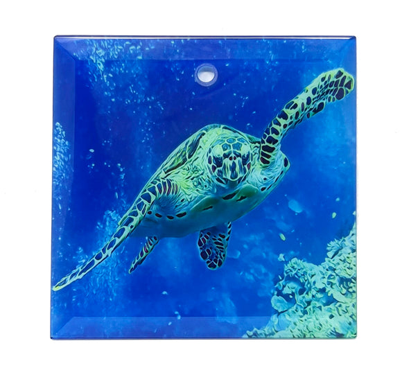 Fiji Turtle - Glass Ornament